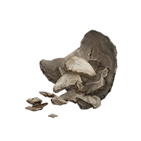 Human Bone Shard